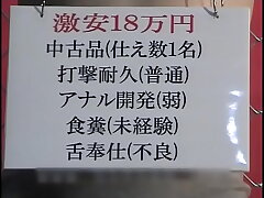 Mistress Land's Japanese Slave Acquisition